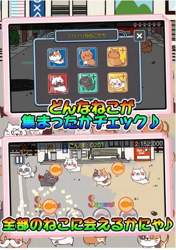 萌猫节奏汉化版下载,萌猫节奏,音乐游戏,猫咪游戏